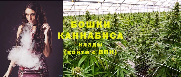 бошки Арсеньев