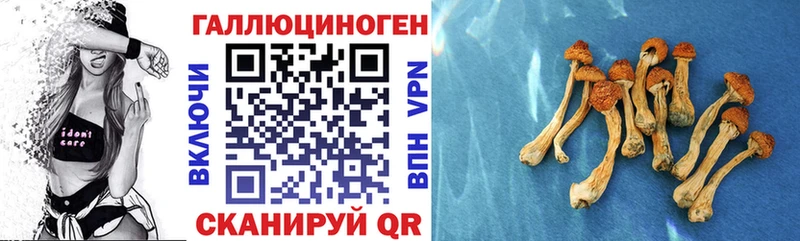 Псилоцибиновые грибы MAGIC MUSHROOMS  blacksprut рабочий сайт  Трёхгорный 