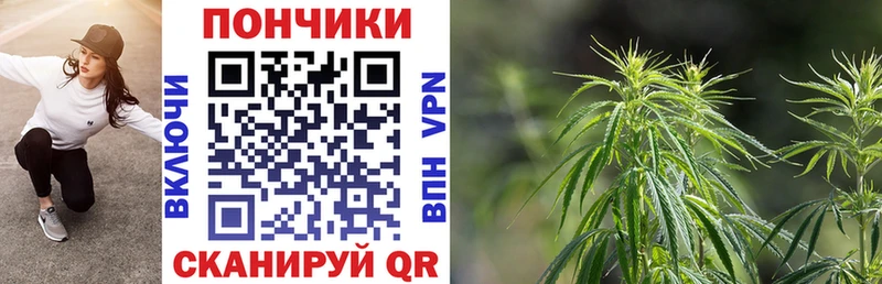 Бошки марихуана OG Kush  сколько стоит  Трёхгорный 